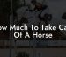How Much To Take Care Of A Horse