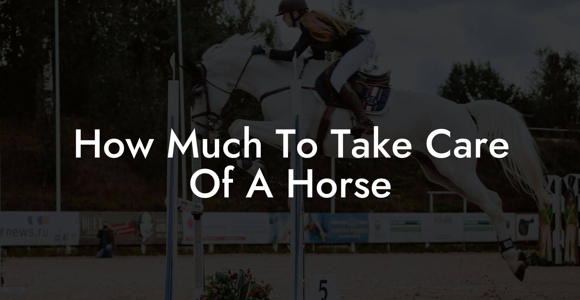 How Much To Take Care Of A Horse