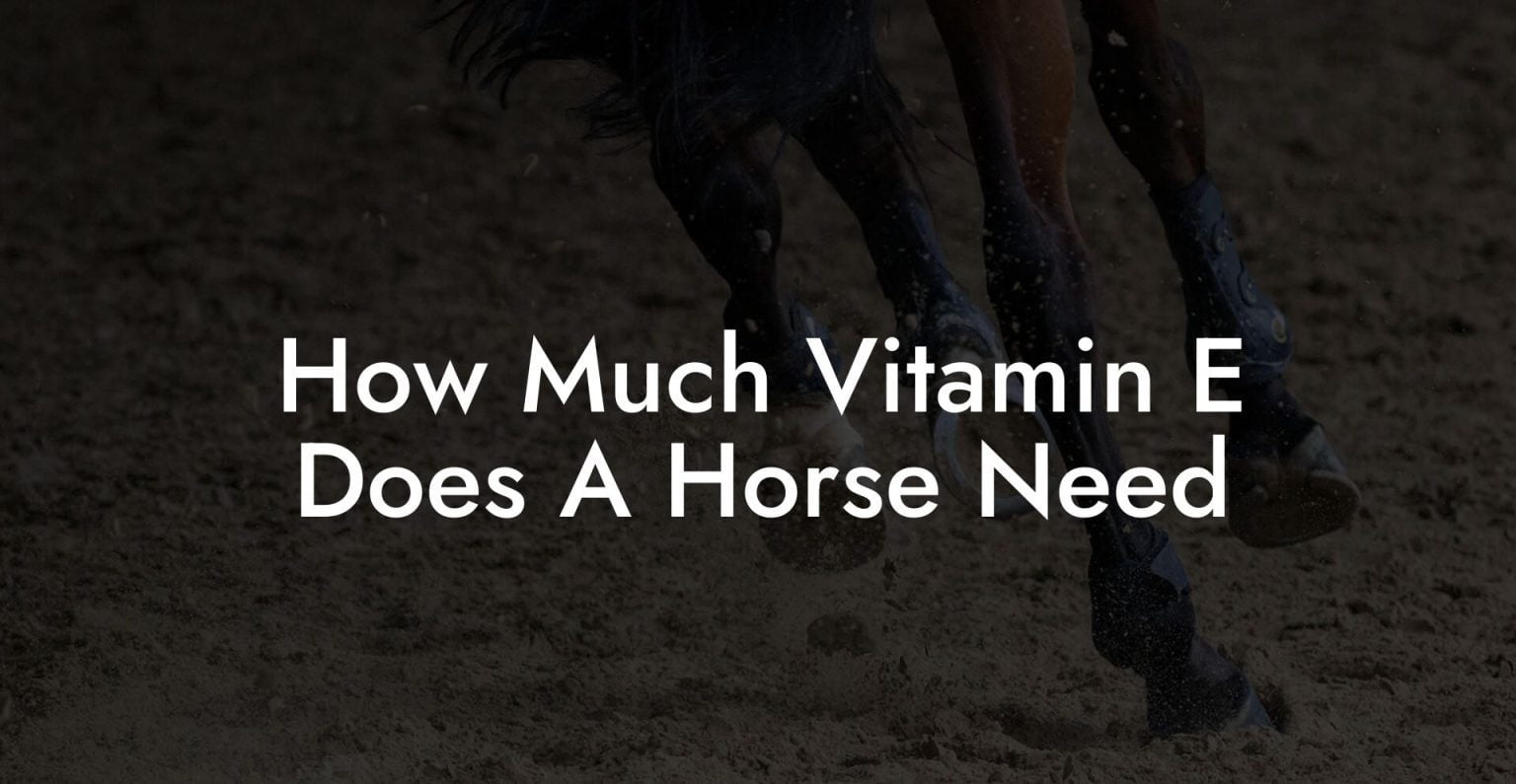 How Much Vitamin E Does A Horse Need How To Own a Horse