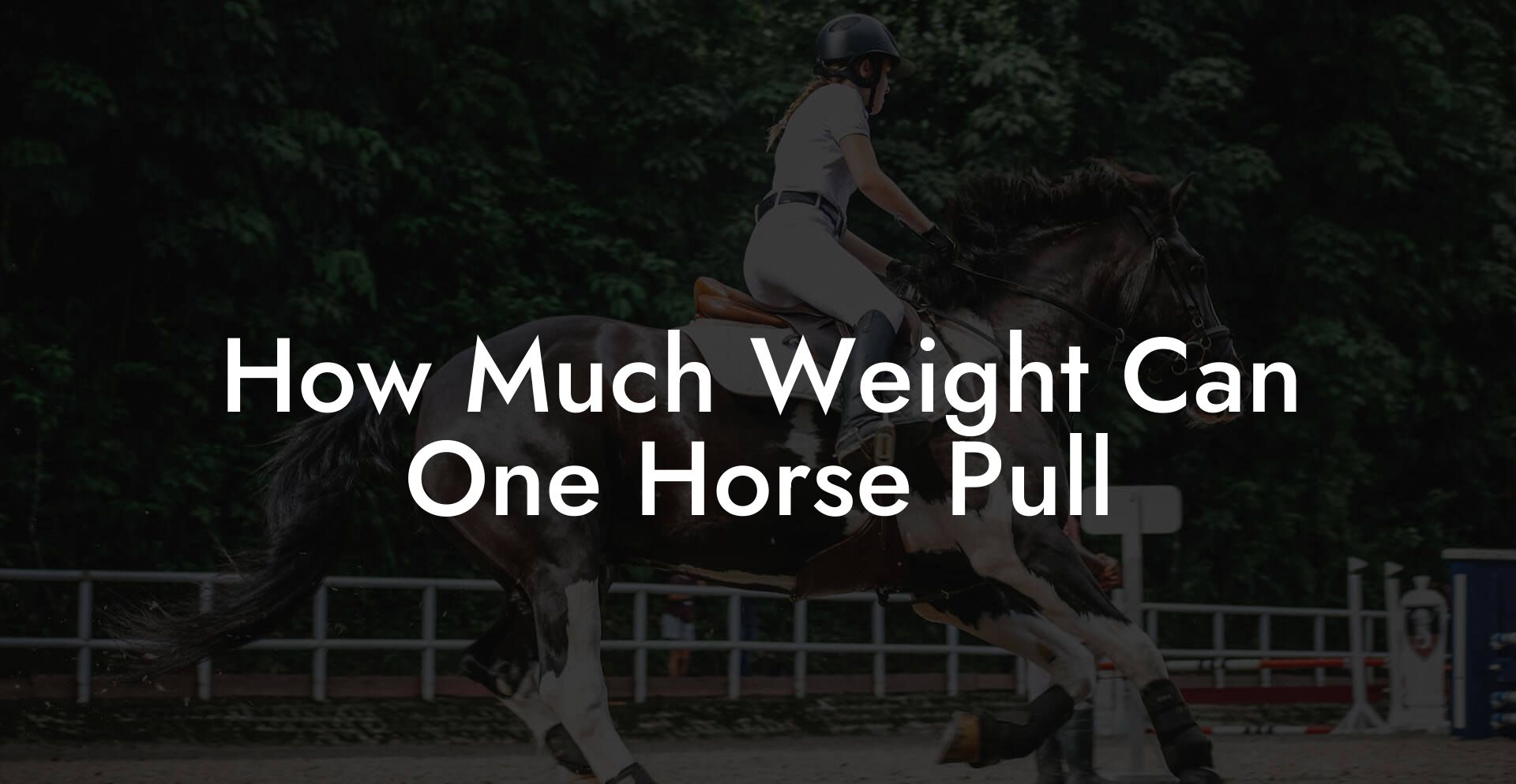 How Much Weight Can One Horse Pull