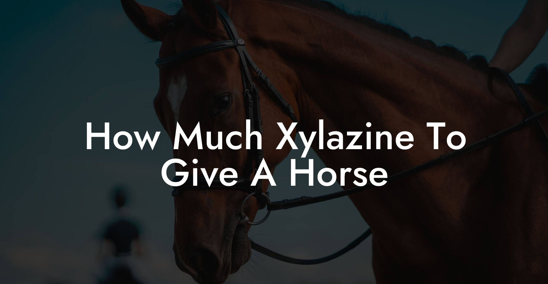 How Much Xylazine To Give A Horse