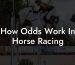 How Odds Work In Horse Racing