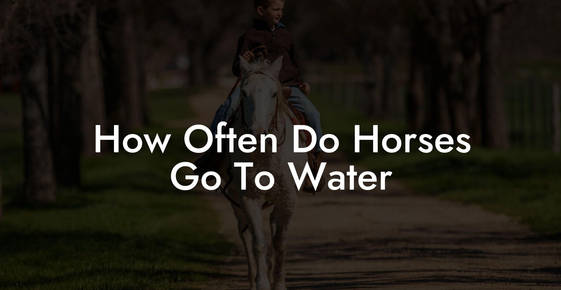 How Often Do Horses Go To Water