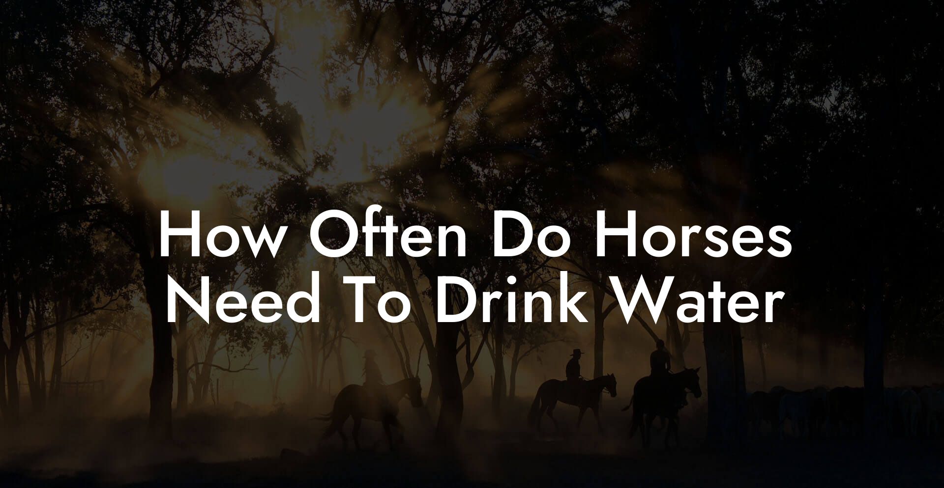 How Often Do Horses Need To Drink Water