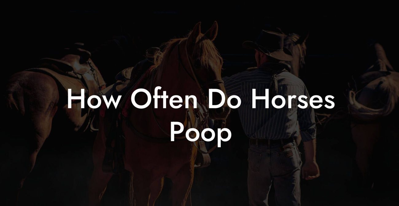 How Often Do Horses Poop