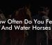 How Often Do You Feed And Water Horses