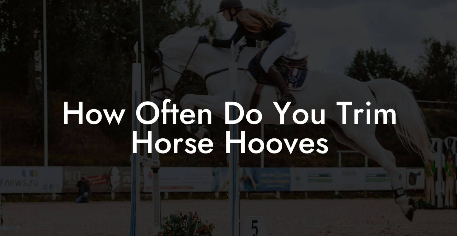 How Often Do You Trim Horse Hooves How To Own a Horse