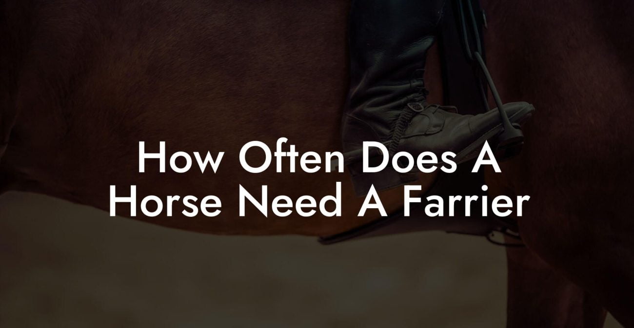 How Often Does A Horse Need A Farrier