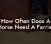 How Often Does A Horse Need A Farrier