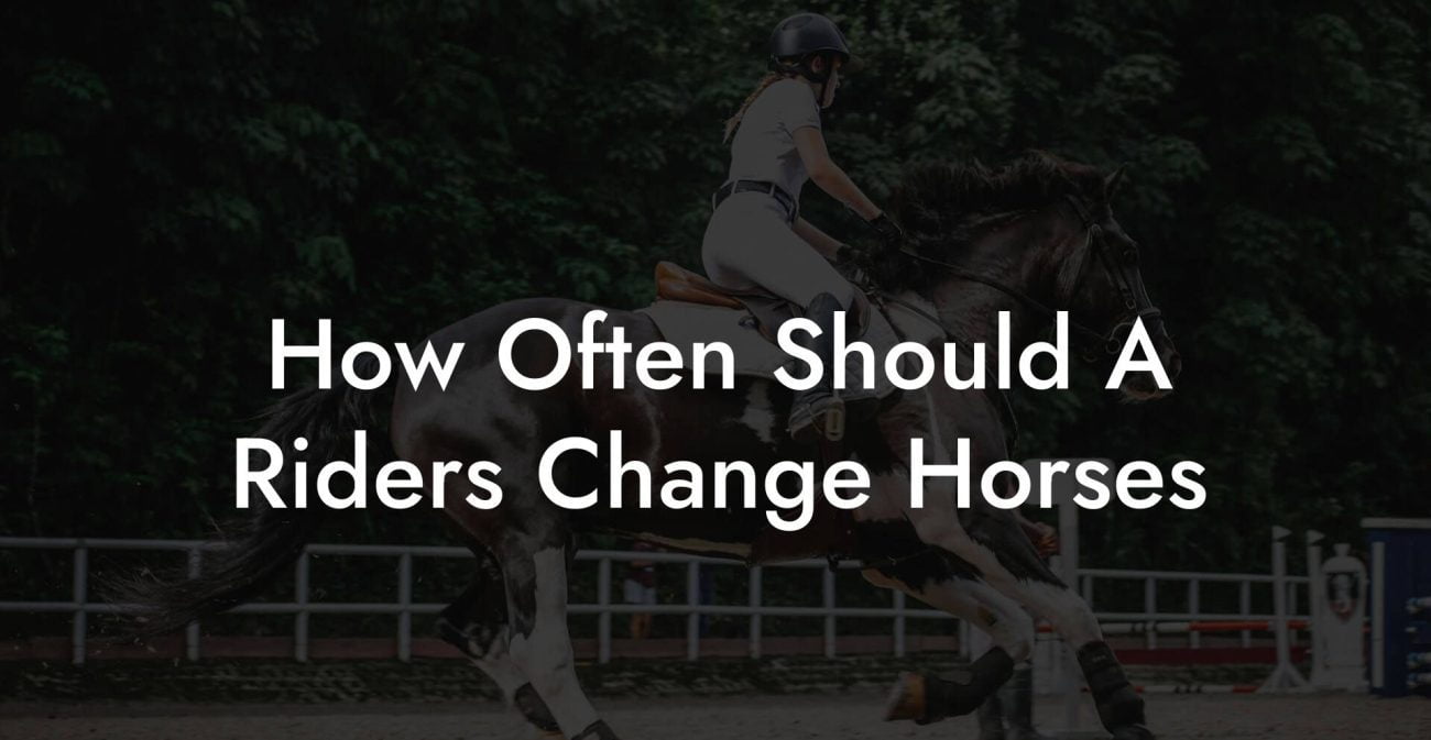 How Often Should A Riders Change Horses