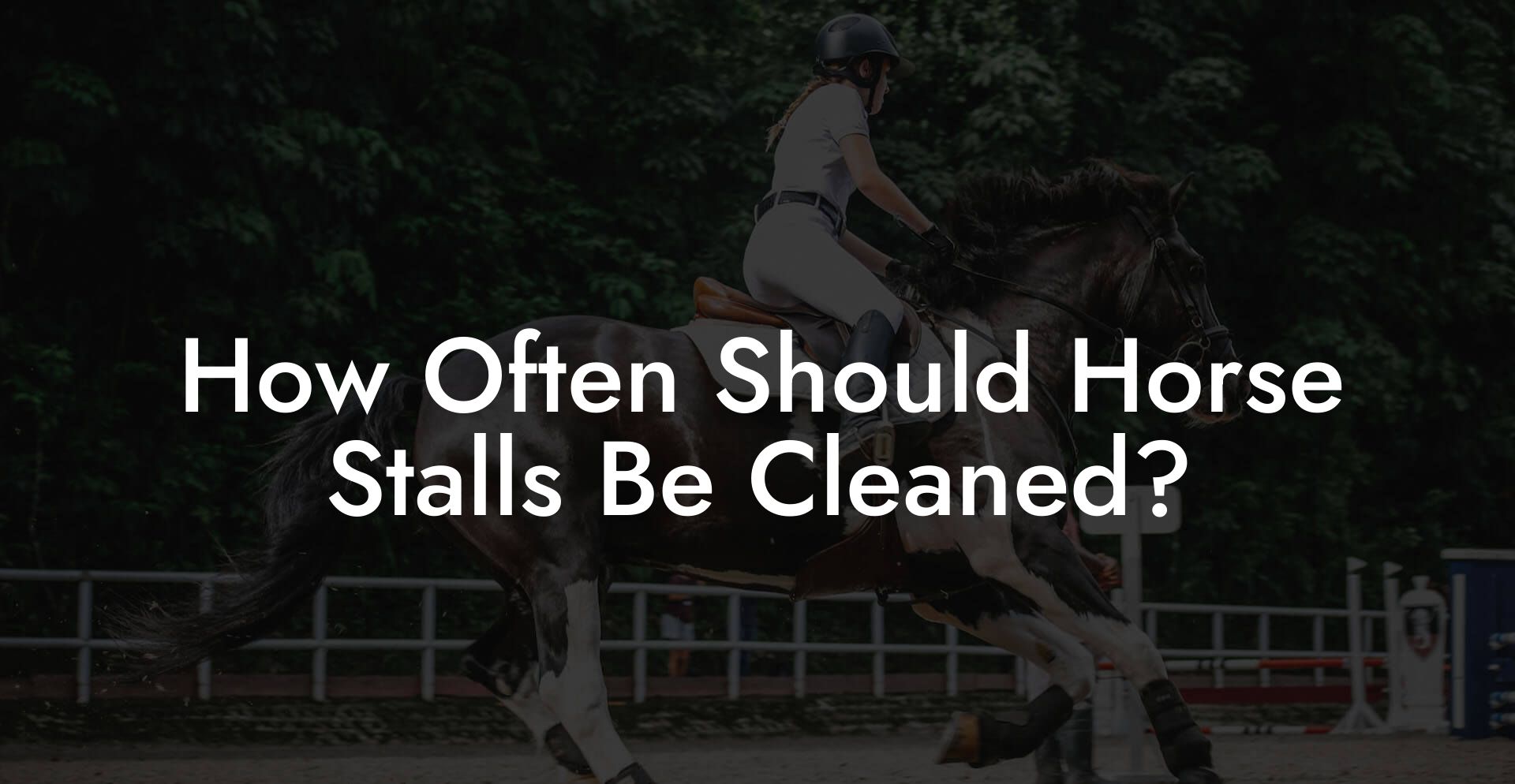 How Often Should Horse Stalls Be Cleaned?