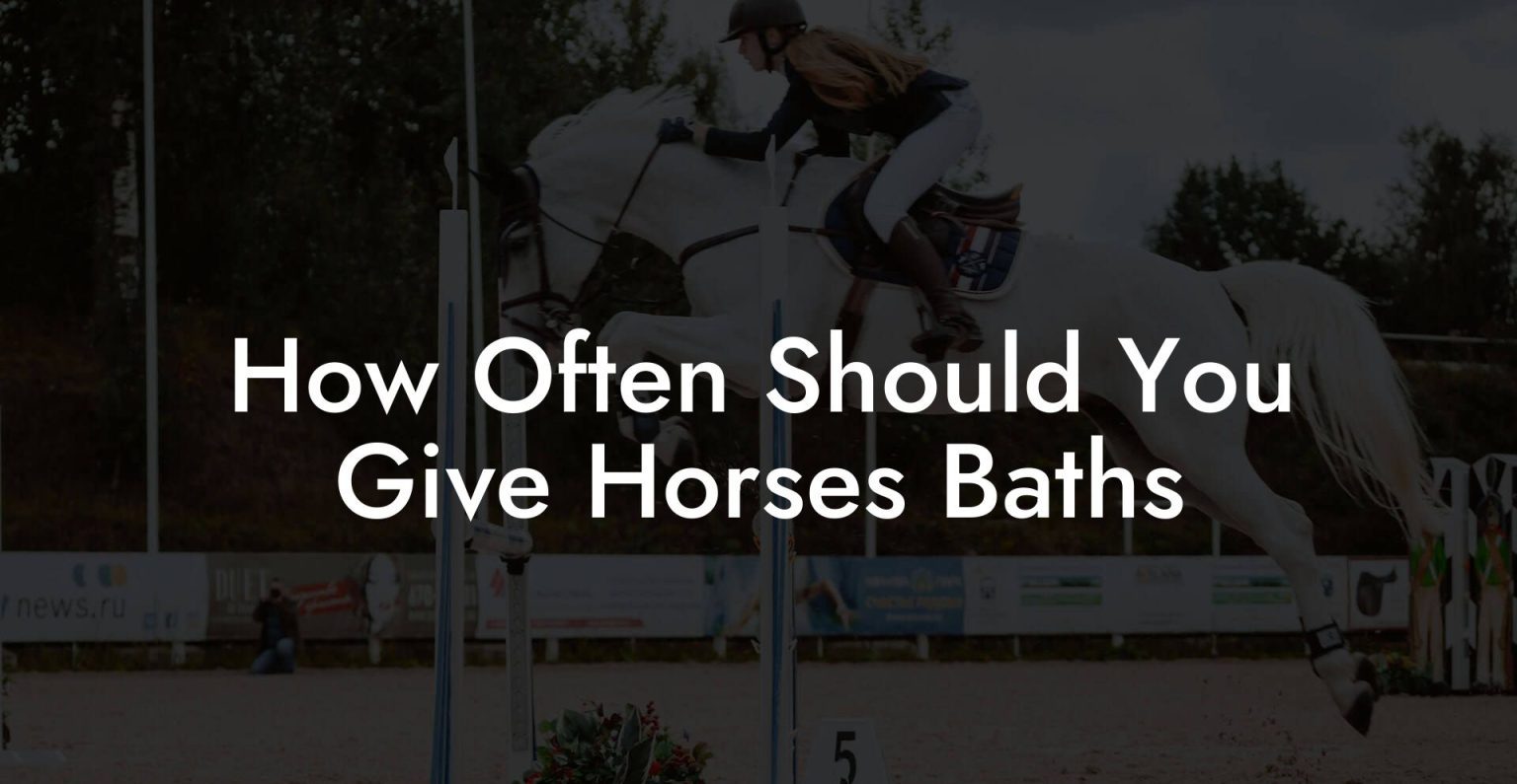 How Often Should You Give Horses Baths How To Own a Horse