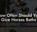 How Often Should You Give Horses Baths