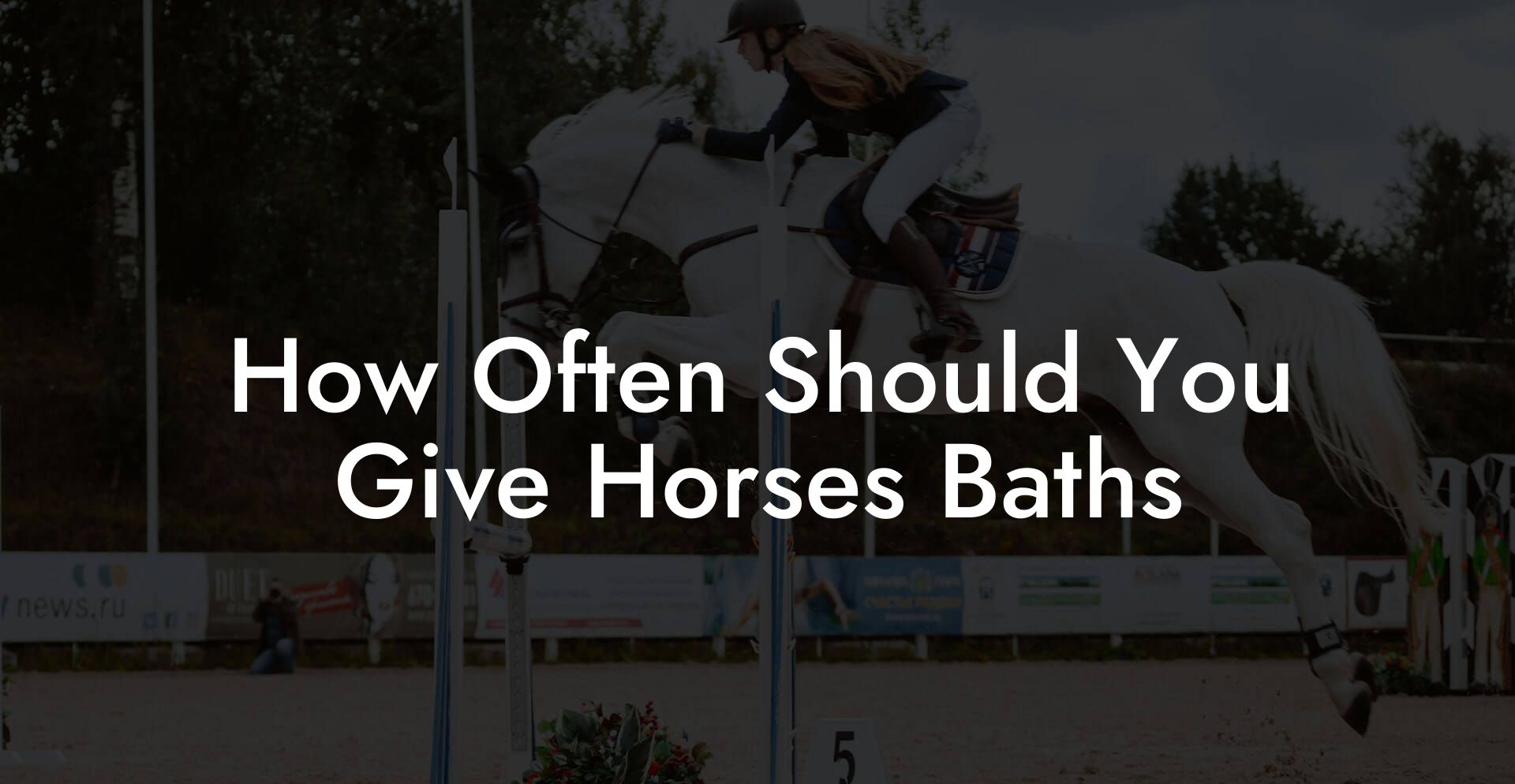 How Often Should You Give Horses Baths