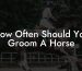 How Often Should You Groom A Horse