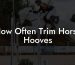 How Often Trim Horse Hooves