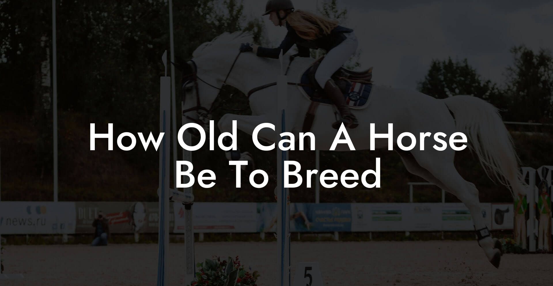 How Old Can A Horse Be To Breed