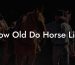 How Old Do Horse Live