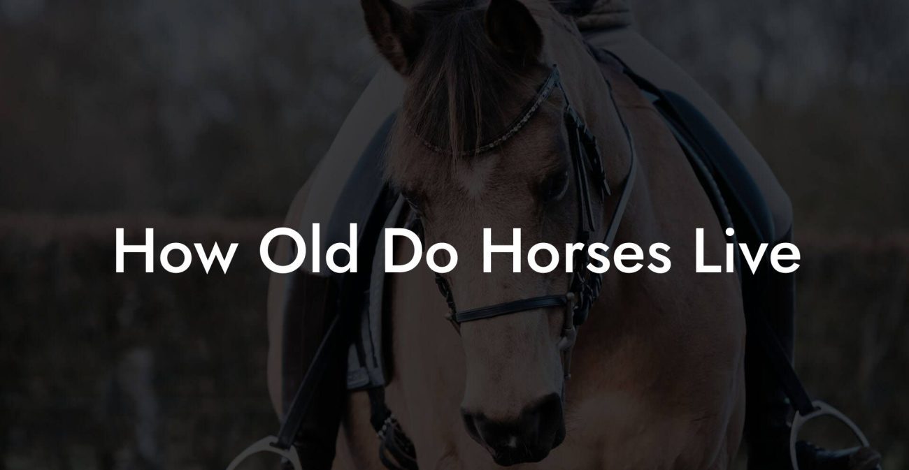 How Old Do Horses Live