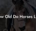 How Old Do Horses Live