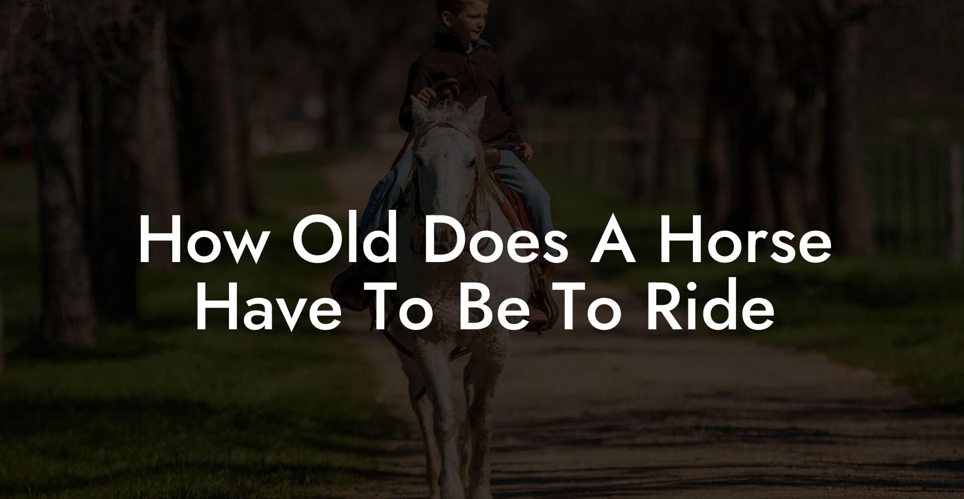 How Old Does A Horse Have To Be To Ride