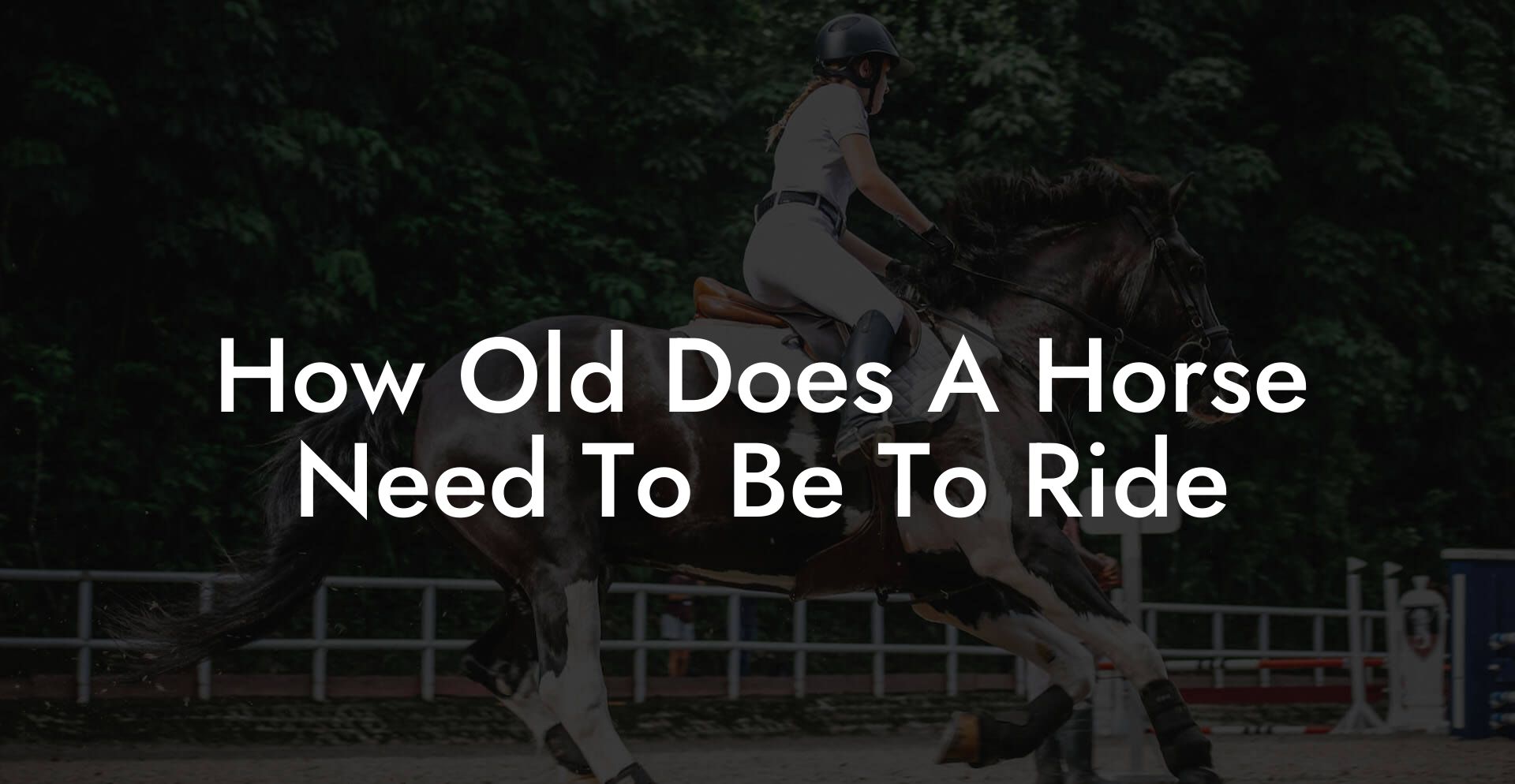 How Old Does A Horse Need To Be To Ride