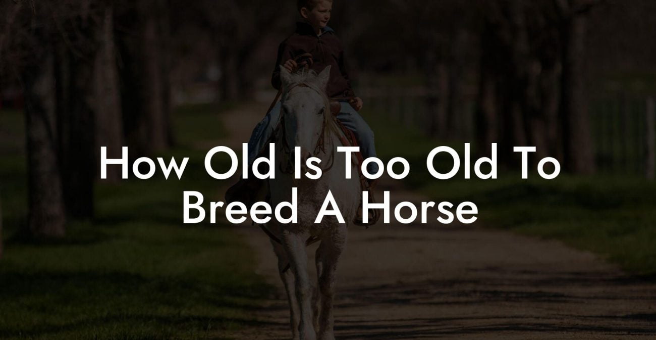 How Old Is Too Old To Breed A Horse