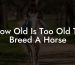 How Old Is Too Old To Breed A Horse