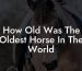 How Old Was The Oldest Horse In The World
