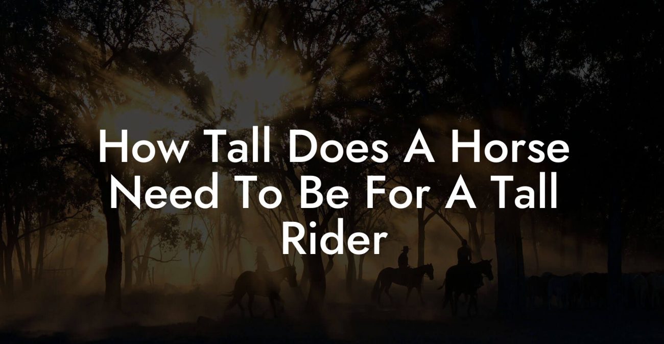 How Tall Does A Horse Need To Be For A Tall Rider