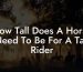 How Tall Does A Horse Need To Be For A Tall Rider
