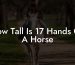 How Tall Is 17 Hands On A Horse