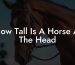 How Tall Is A Horse At The Head