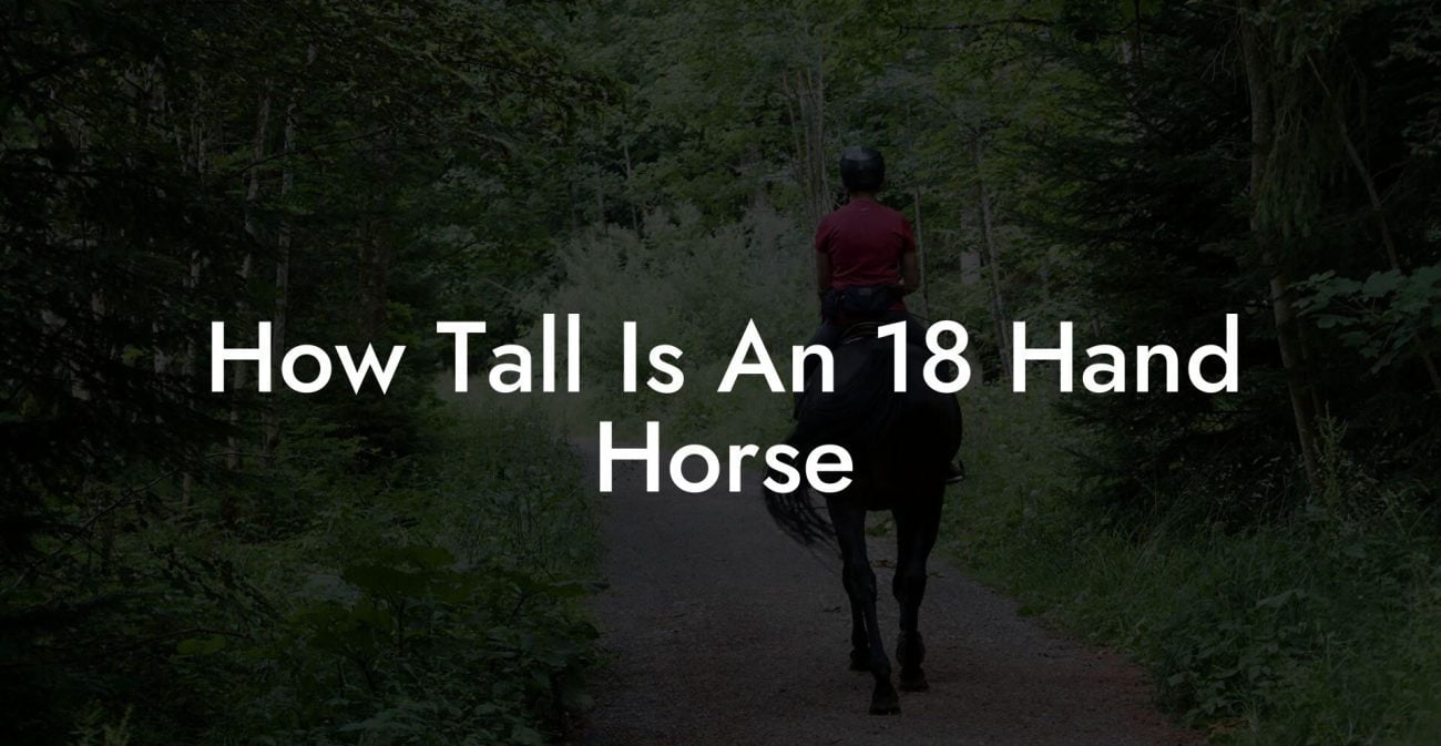 How Tall Is An 18 Hand Horse