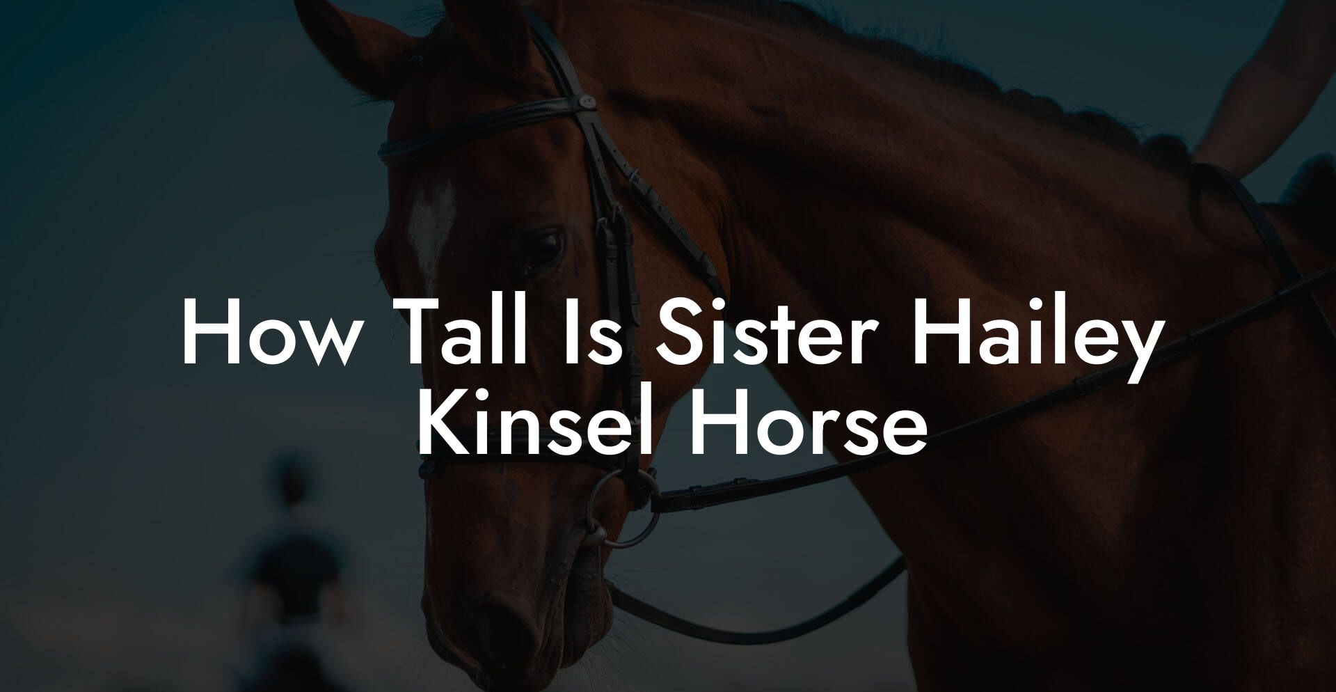 How Tall Is Sister Hailey Kinsel Horse
