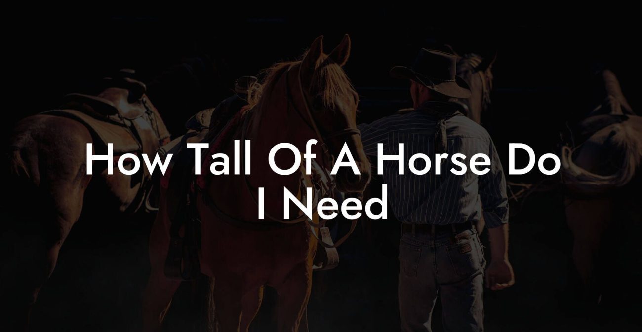 How Tall Of A Horse Do I Need