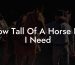 How Tall Of A Horse Do I Need