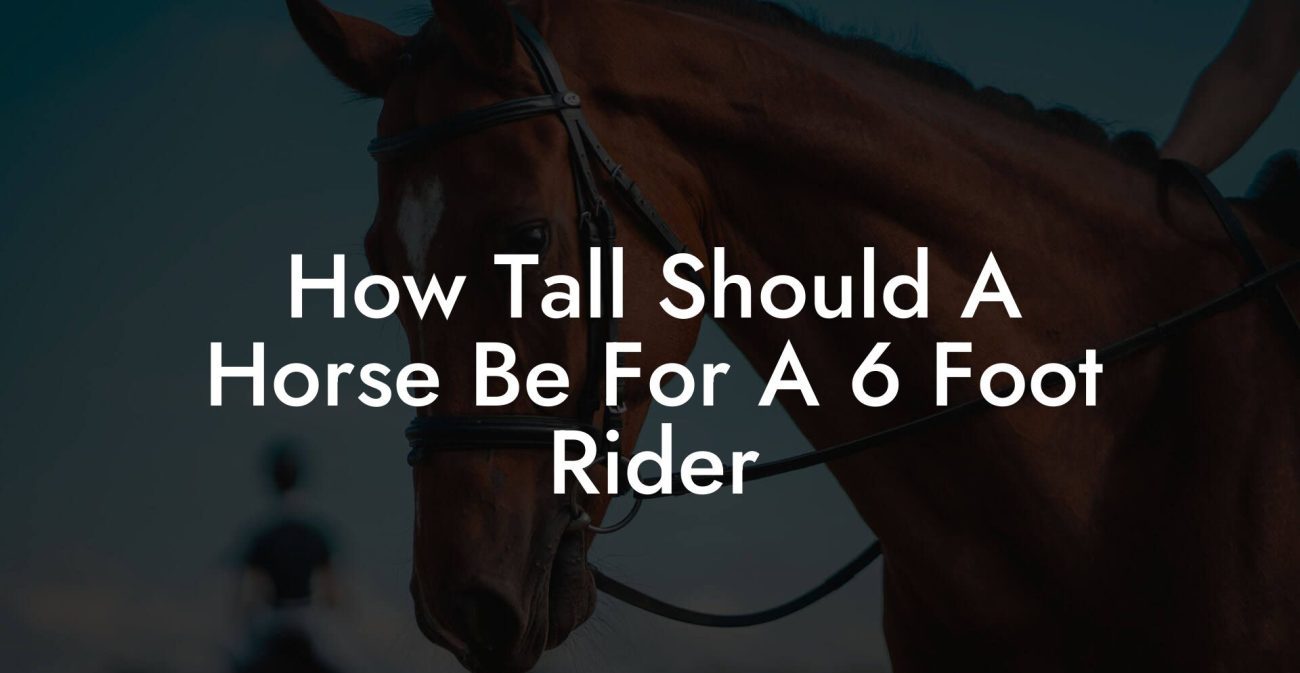 How Tall Should A Horse Be For A 6 Foot Rider