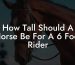 How Tall Should A Horse Be For A 6 Foot Rider