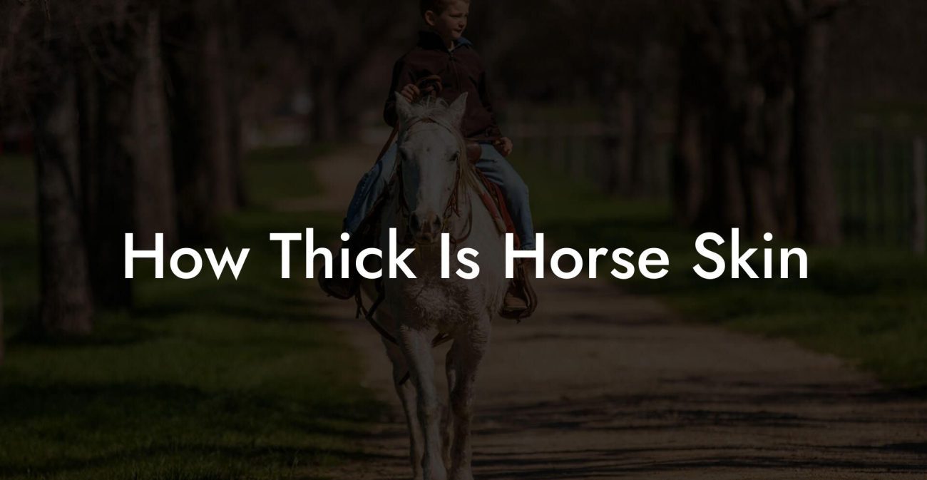 How Thick Is Horse Skin