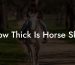 How Thick Is Horse Skin