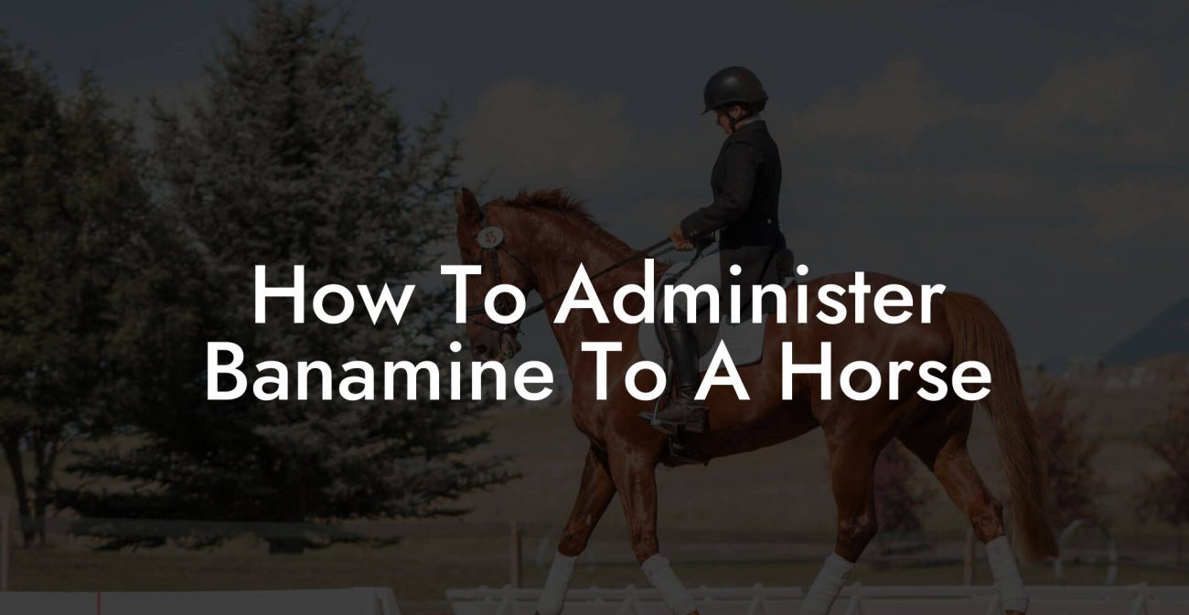 How To Administer Banamine To A Horse