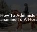How To Administer Banamine To A Horse