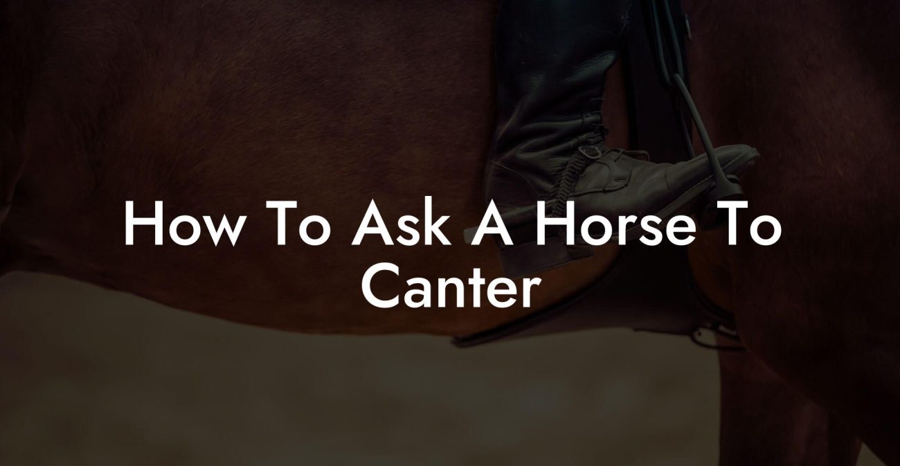 How To Ask A Horse To Canter