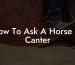 How To Ask A Horse To Canter