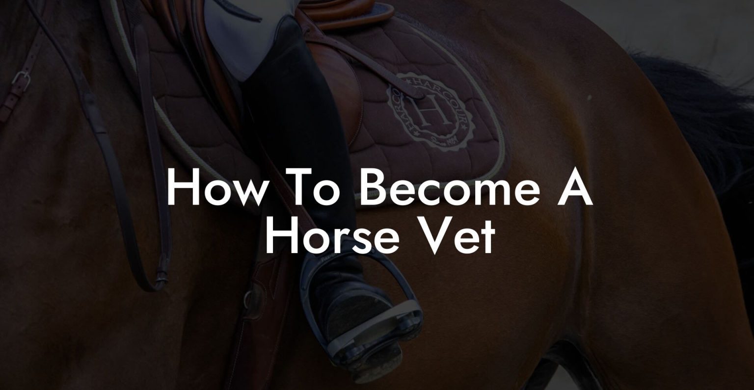 How To A Horse Vet How To Own a Horse