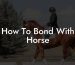 How To Bond With Horse