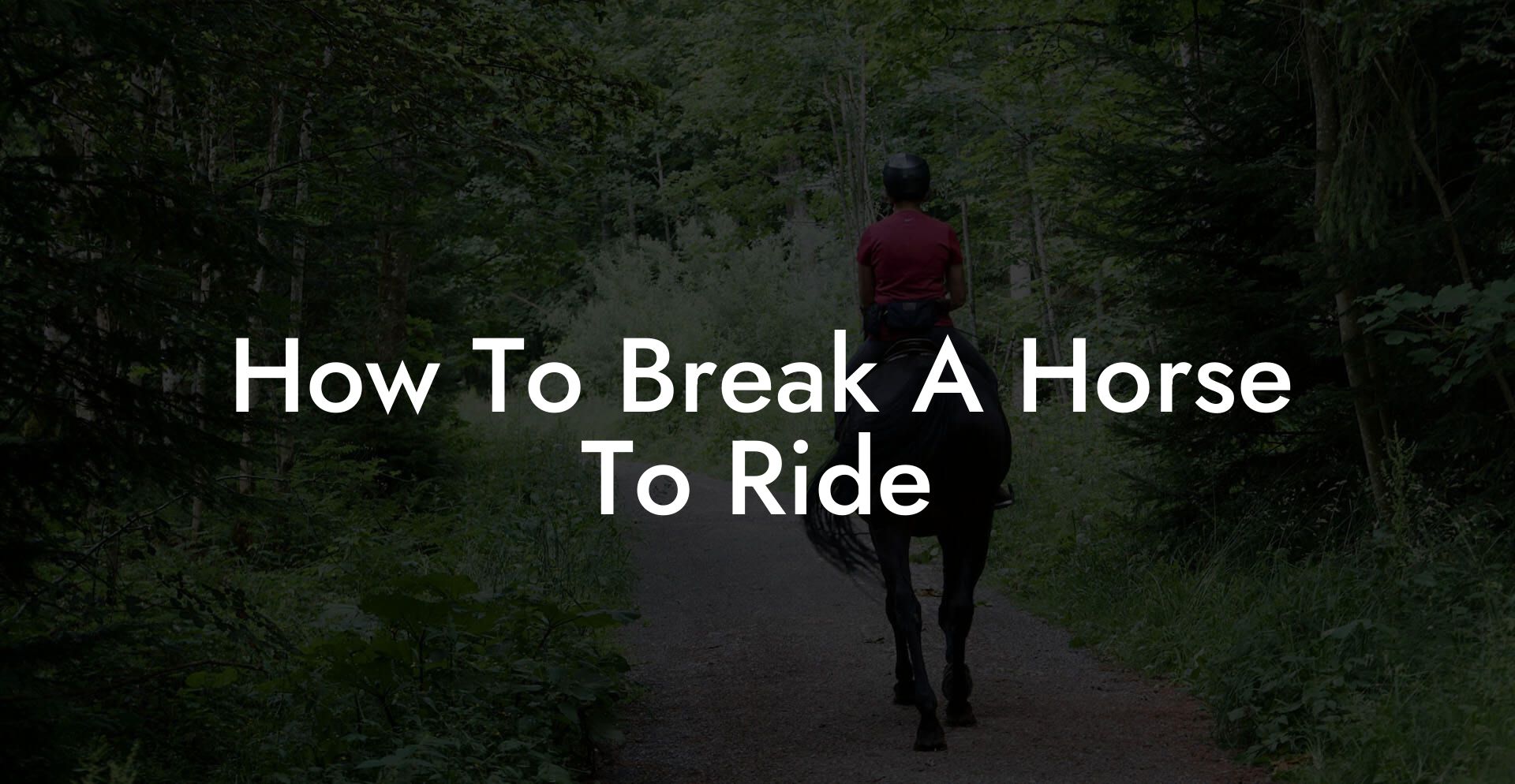 How To Break A Horse To Ride