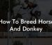 How To Breed Horse And Donkey