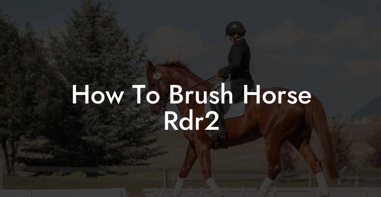 How To Brush Horse Rdr2 How To Own a Horse